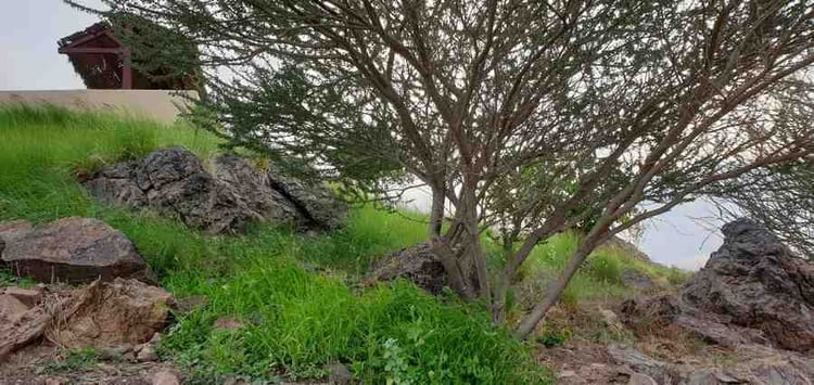 Hatta hill park