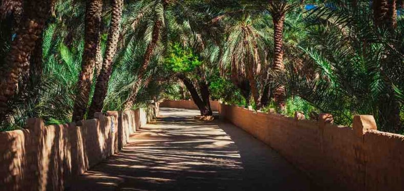 Al Ain Oasis