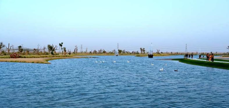 Al Qudra Lakes