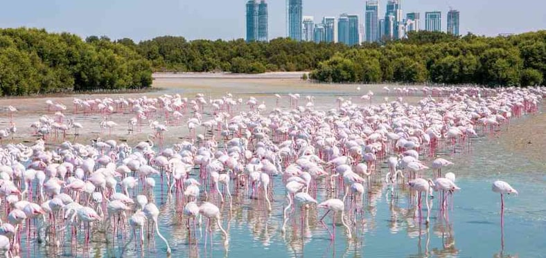 Dubai Mall and Burj Khalifa Lake